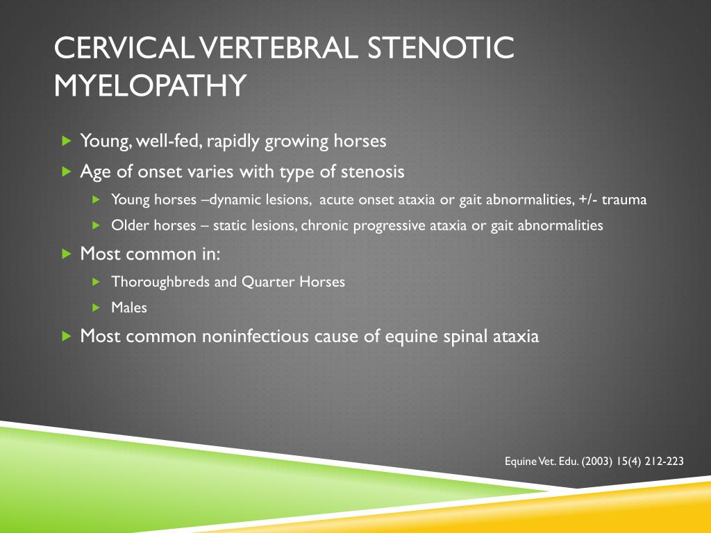 PPT - Equine cervical vertebral stenotic myelopathy Accession# 139543 ...