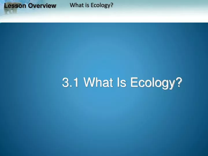 ppt 3 1 what is ecology powerpoint presentation id 2320681 what is ecology powerpoint