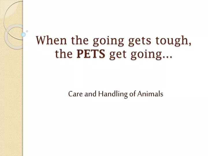 when the going gets tough the pets get going n.