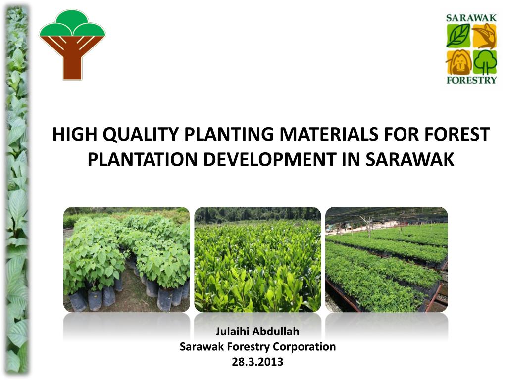 Forest Plantation Development Sdn Bhd