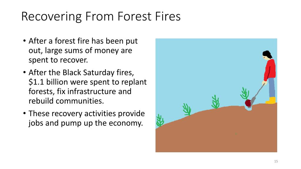 PPT - Forest Fires: Economic and Political Consequences PowerPoint ...