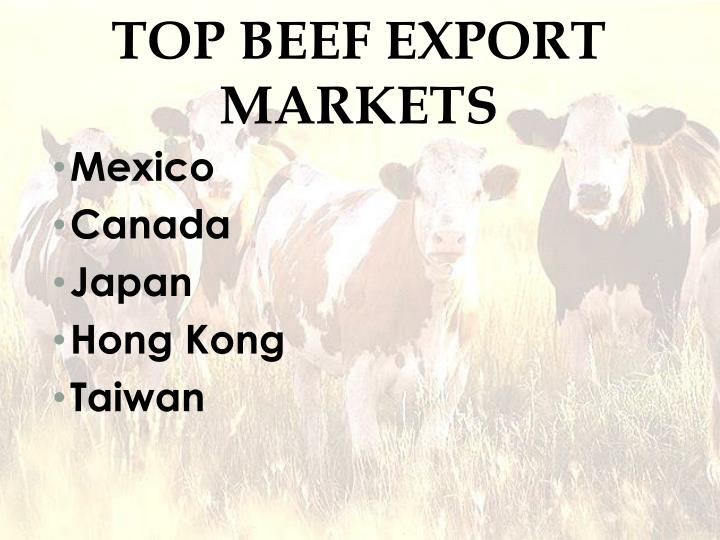 PPT - Beef Cattle PowerPoint Presentation - ID:2323879