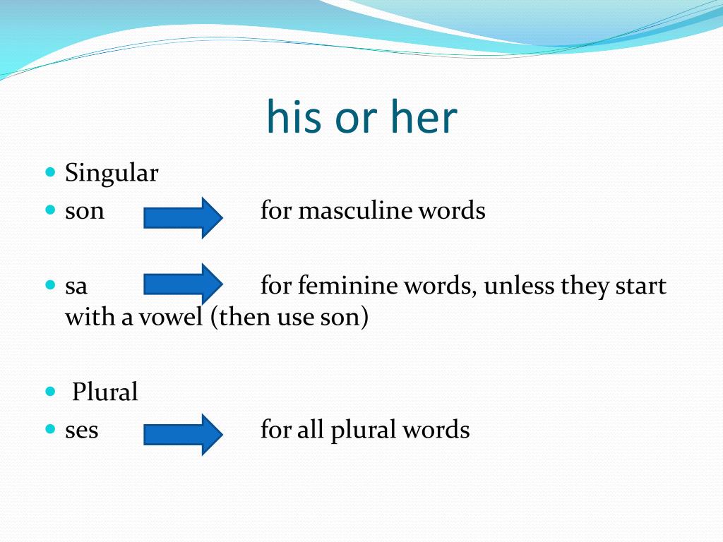 PPT French Possessive Adjectives PowerPoint Presentation, free