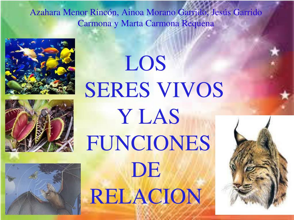 PPT - LOS SERES VIVOS Y LAS FUNCIONES DE RELACION PowerPoint Presentation -  ID:2324334