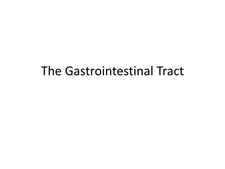 the gastrointestinal tract n.