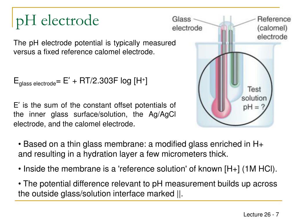 PPT CHEM1612 Pharmacy Week 9 Concentration Cells PowerPoint