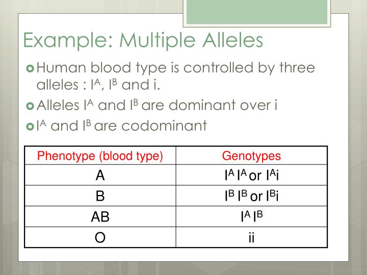 PPT - Genetics: Multiple Alleles PowerPoint Presentation - ID:2326000
