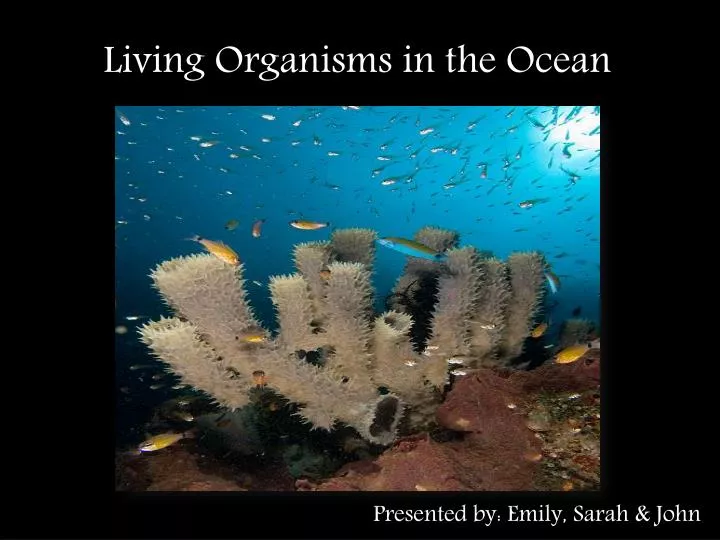 PPT - Living Organisms in the Ocean PowerPoint Presentation, free ...
