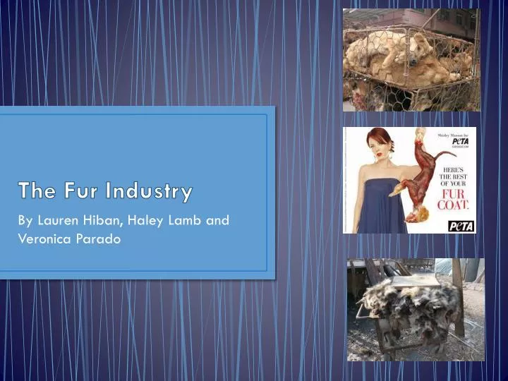PPT The Fur Industry PowerPoint Presentation, free download ID2326608