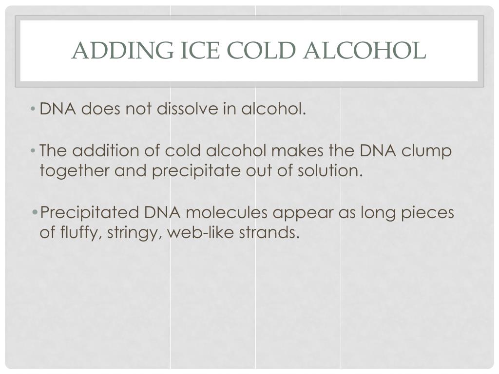 PPT DNA Extraction from Cheek Cells PowerPoint Presentation, free