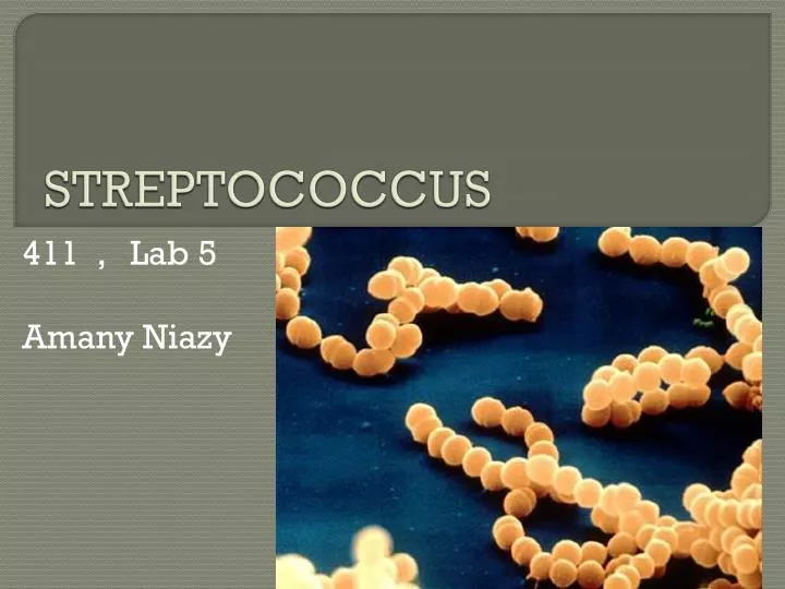 streptococcus presentation ppt powerpoint slideserve