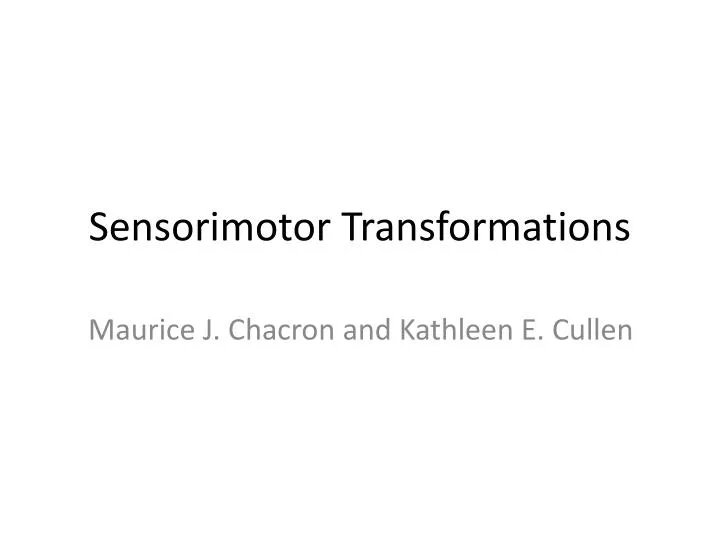 sensorimotor transformations n.