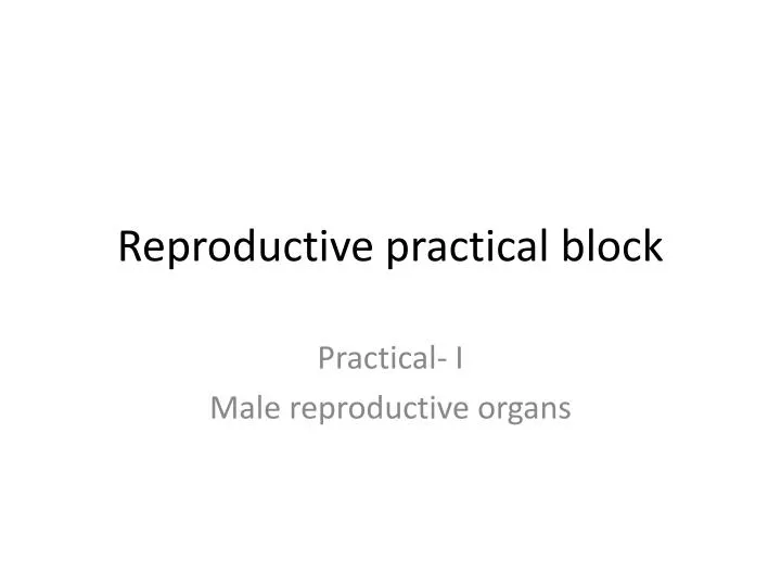 reproductive practical block n.