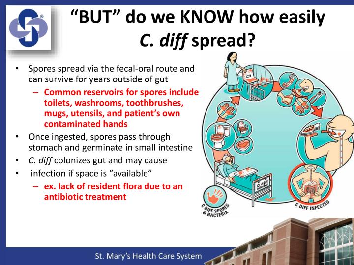 PPT - New CLOSTRIDIUM DIFFICILE CDI Prevention Bundles PowerPoint ...