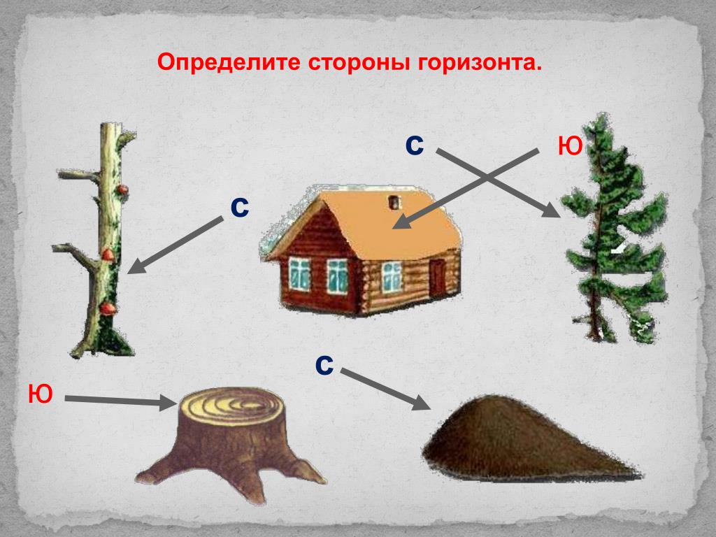 Как отличить без. Как определить стороны горизонта. Ориентирование на местности стороны горизонта. Ориентирование по местным признакам рисунок. Как определить стороны горизонта без компаса.