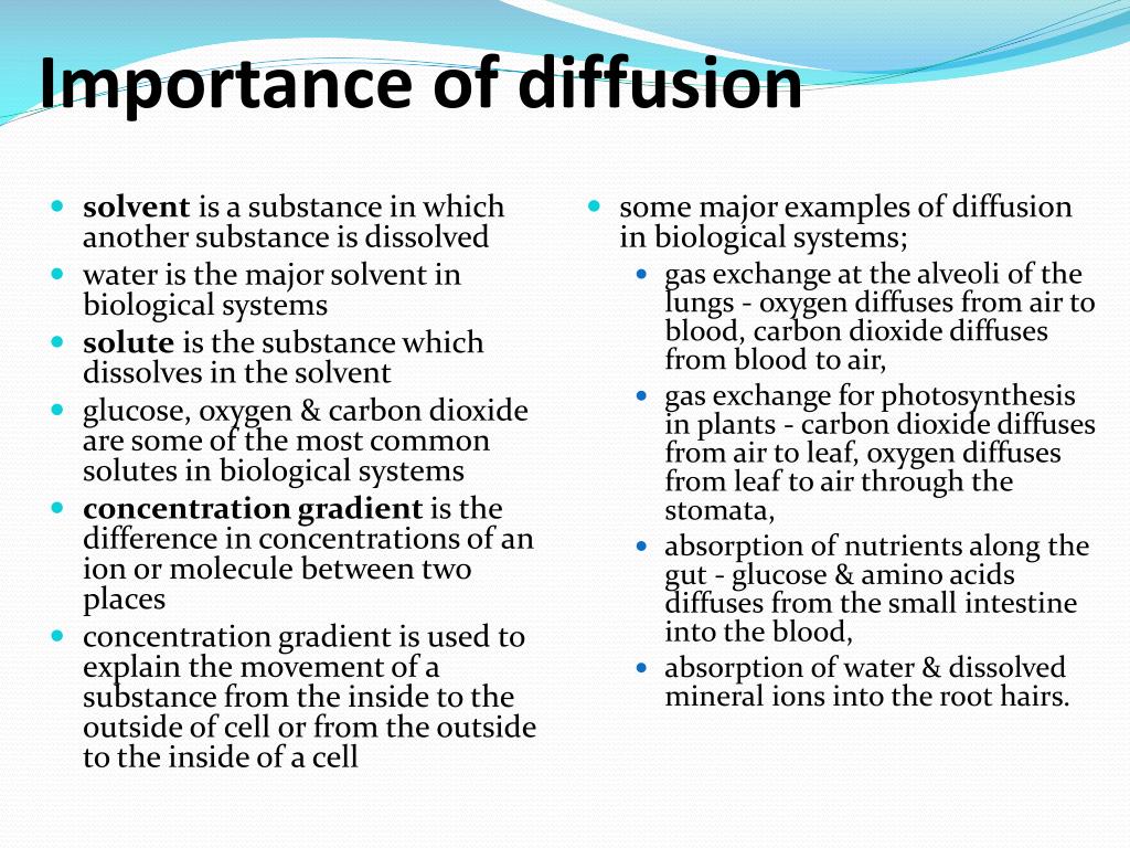 importance of diffusion biology essay