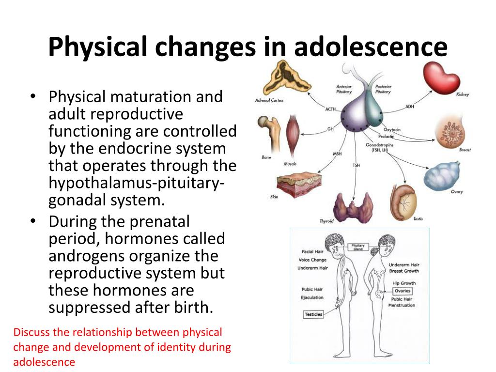 adolescent-development-pdf-developmental-milestones-adolescence