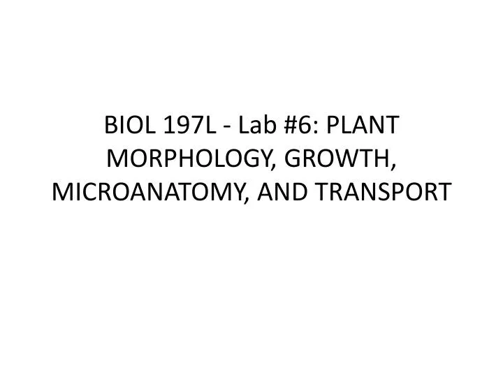 biol 197l lab 6 plant morphology growth microanatomy and transport n.