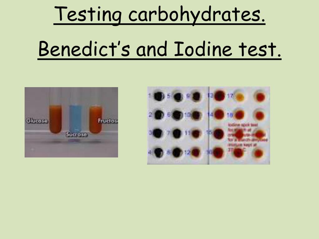 Iodine test sale for carbohydrates