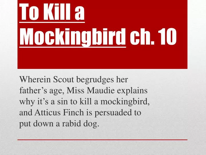 to kill a mockingbird ch 10 n.