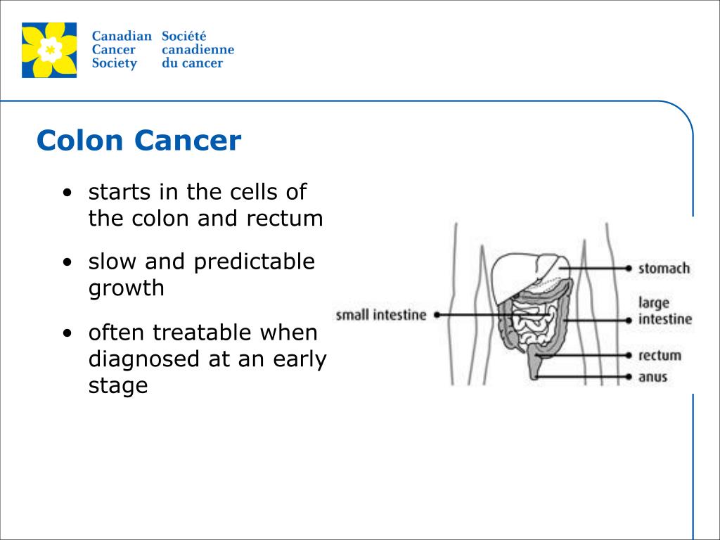 Ppt Fighting Back Against Colon Cancer Powerpoint Presentation Free