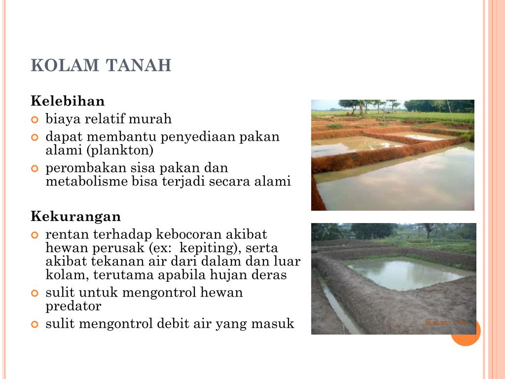 PPT Desain  dan Konstruksi Wadah Budidaya Ikan  PowerPoint 