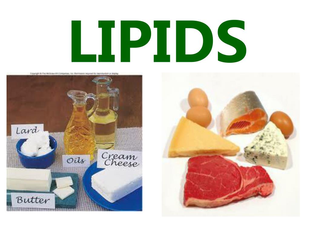 Ppt Lipids Powerpoint Presentation Free Download Id2333721