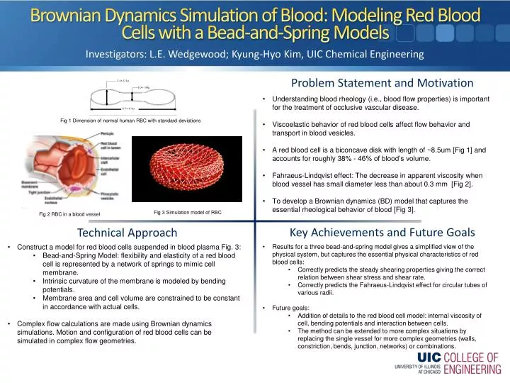 ppt-brownian-dynamics-simulation-of-blood-modeling-red-blood-cells-with-a-bead-and-spring