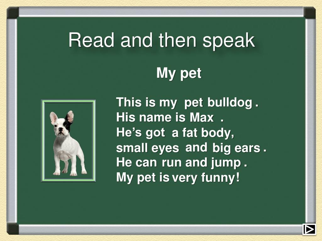 Rabbits have got long. My Pet по английскому. Проект my Pet. Проект по английскому языку my Pet. My Pet презентация.