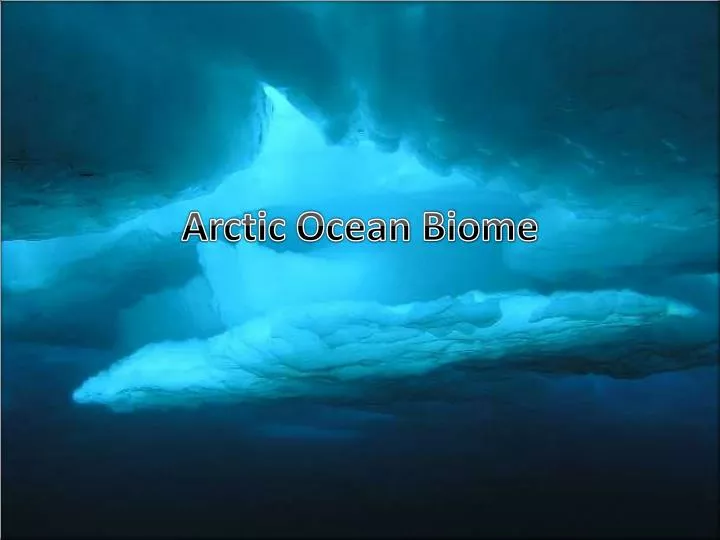 arctic ocean biome n.