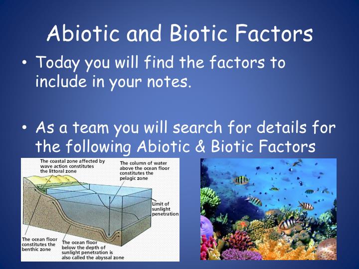 PPT Ocean Biome PowerPoint Presentation ID2335810