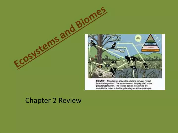 ecosystems and biomes n.