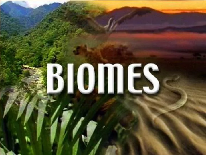 ppt-ch-6-biomes-powerpoint-presentation-free-download-id-2335841