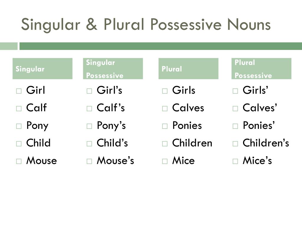Possesive Plural Nouns Worksheet