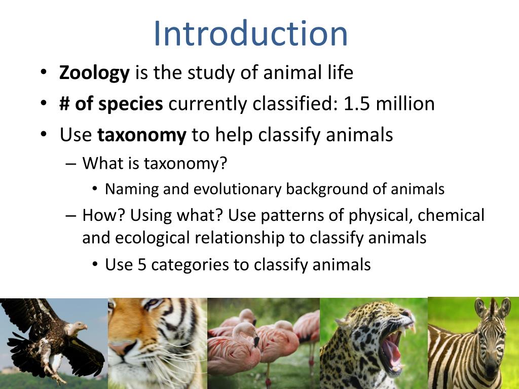 presentation topic for zoology