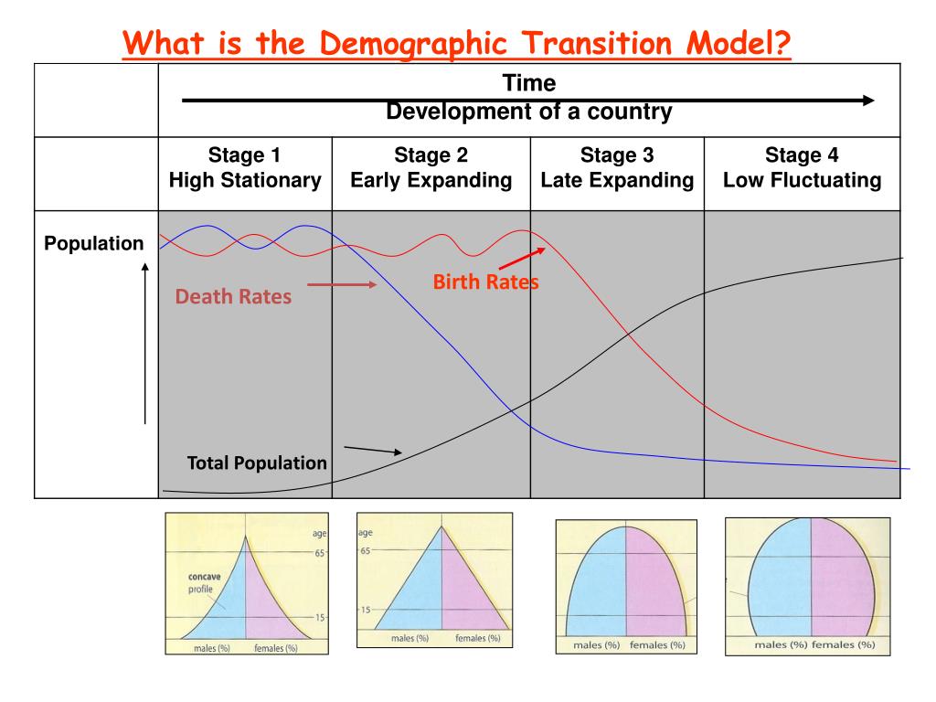 Transition height. Demographic Transition. Transition model. What is demographic. Modal Transition.