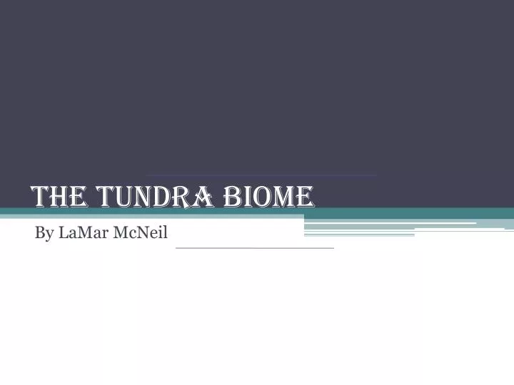 the tundra biome n.