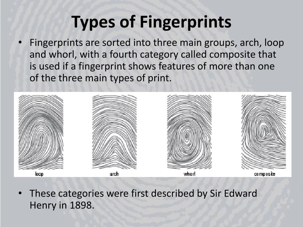 fingerprint types fingerprint types