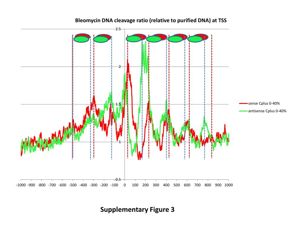 PPT - Supplementary Figure 3 PowerPoint Presentation, free download ...