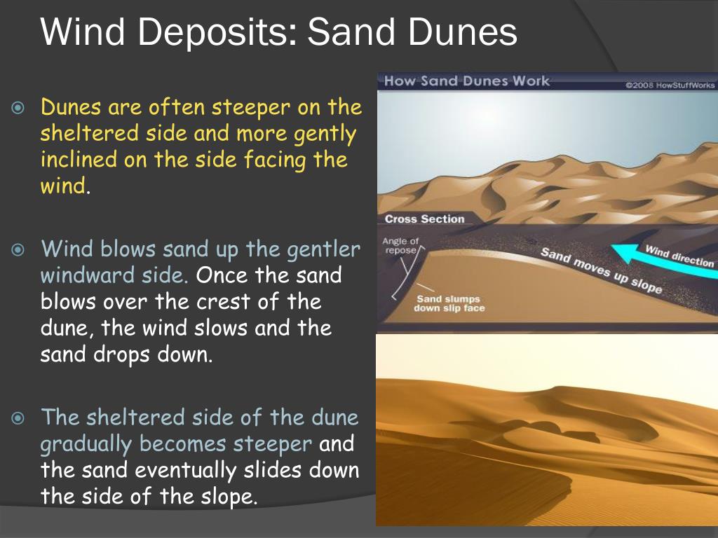 PPT - Earth Science 7.3 Landscapes Shaped by Wind PowerPoint