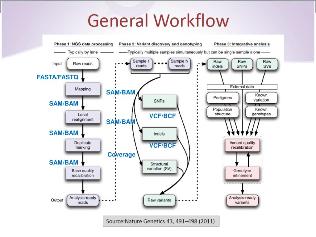 exome sequence analysis exome sequence analysis