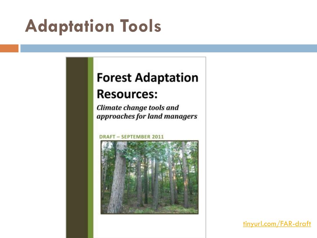PPT - Linda Parker Chequamegon-Nicolet Forest Ecologist National Forest ...