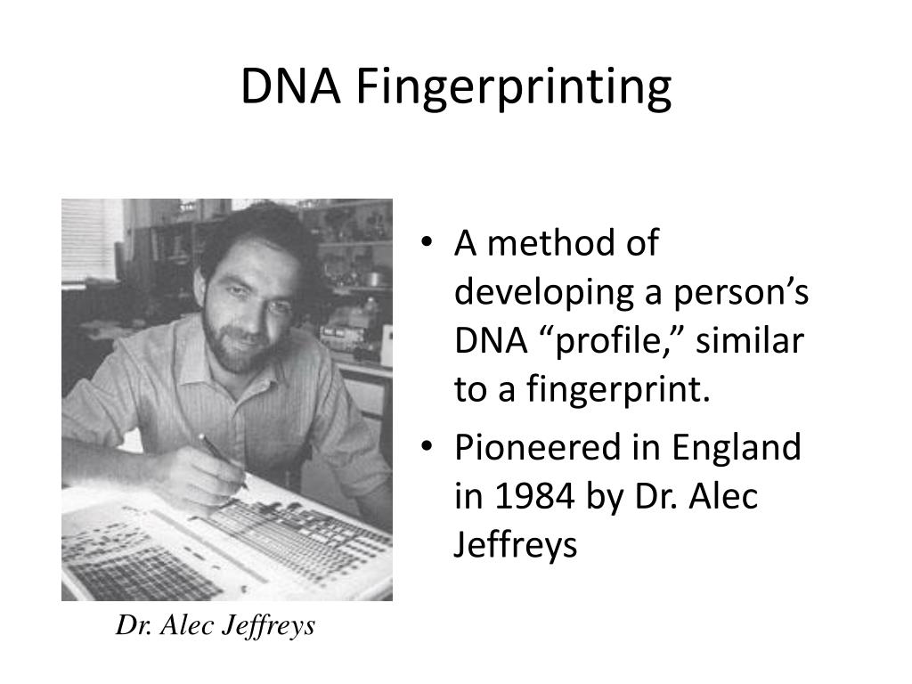 PPT - DNA Fingerprinting PowerPoint Presentation, free download - ID:2339328