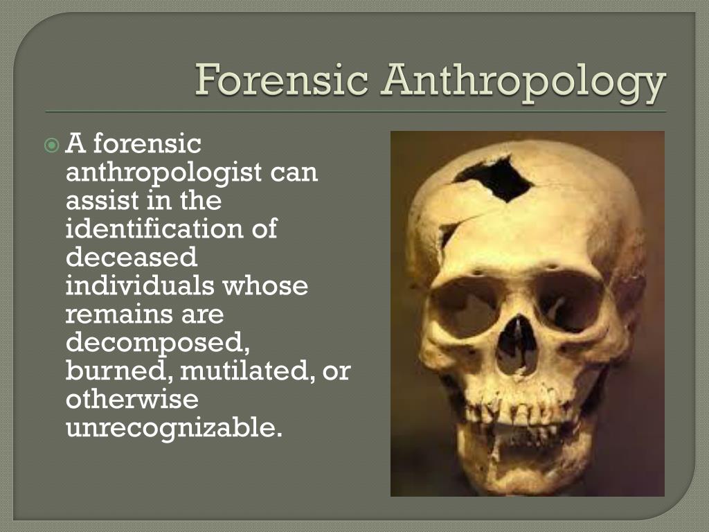 forensic anthropology research definition