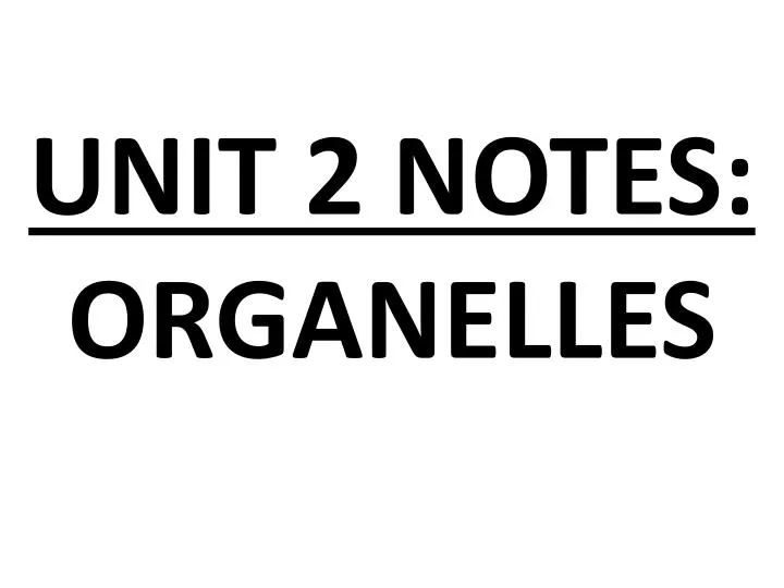 unit 2 notes organelles n.