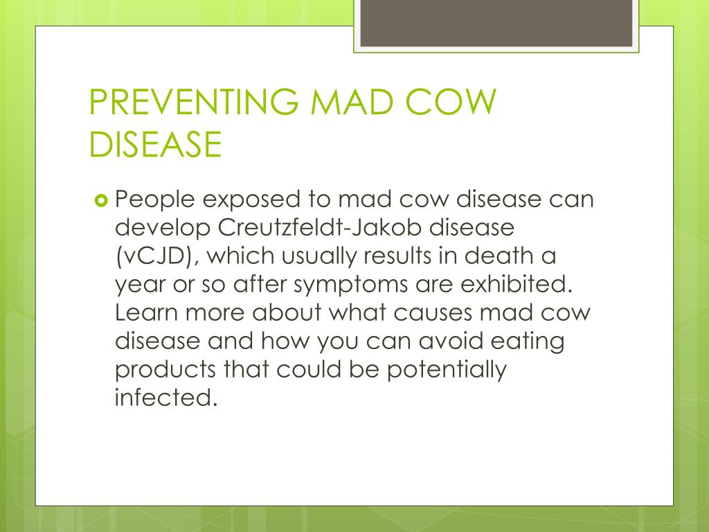 Ppt Mad Cow Disease In Humans Powerpoint Presentation Free Download Id2340435 2191