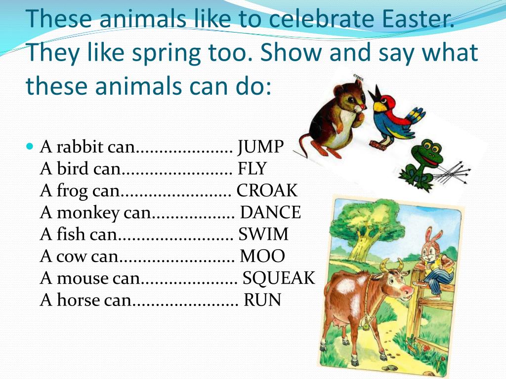 Do you like animals. What can animals do. What can animals do 2 Grade. What can the animals do ответы. What can animals do презентация 2 Grade.