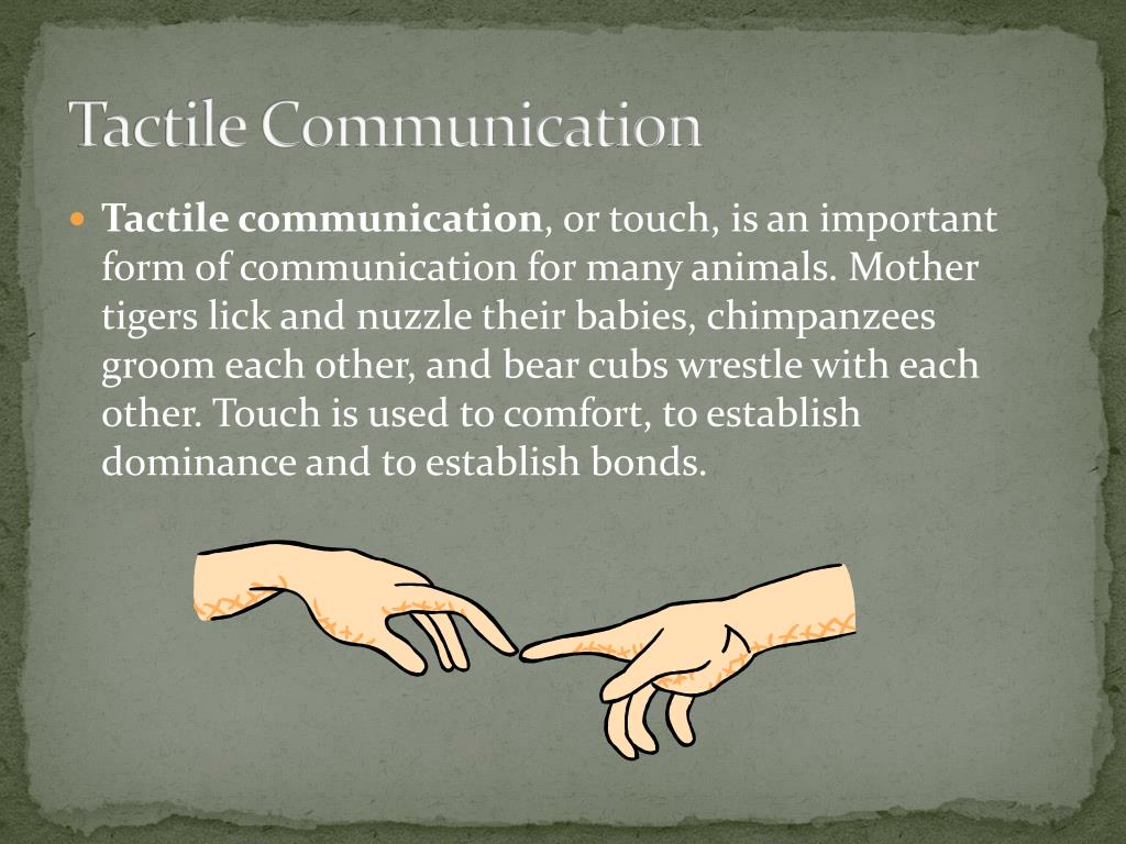 PPT - Auditory & Tactile Communication PowerPoint Presentation, free  download - ID:2340927