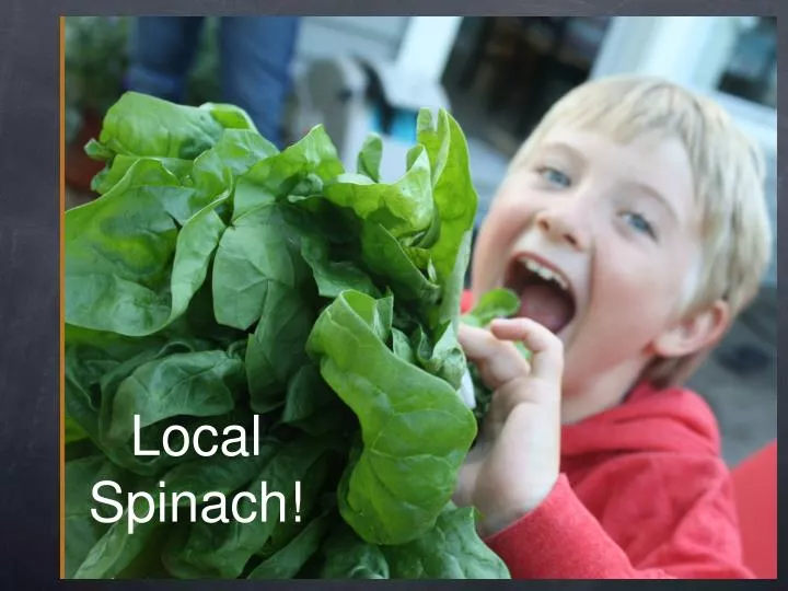 local spinach n.