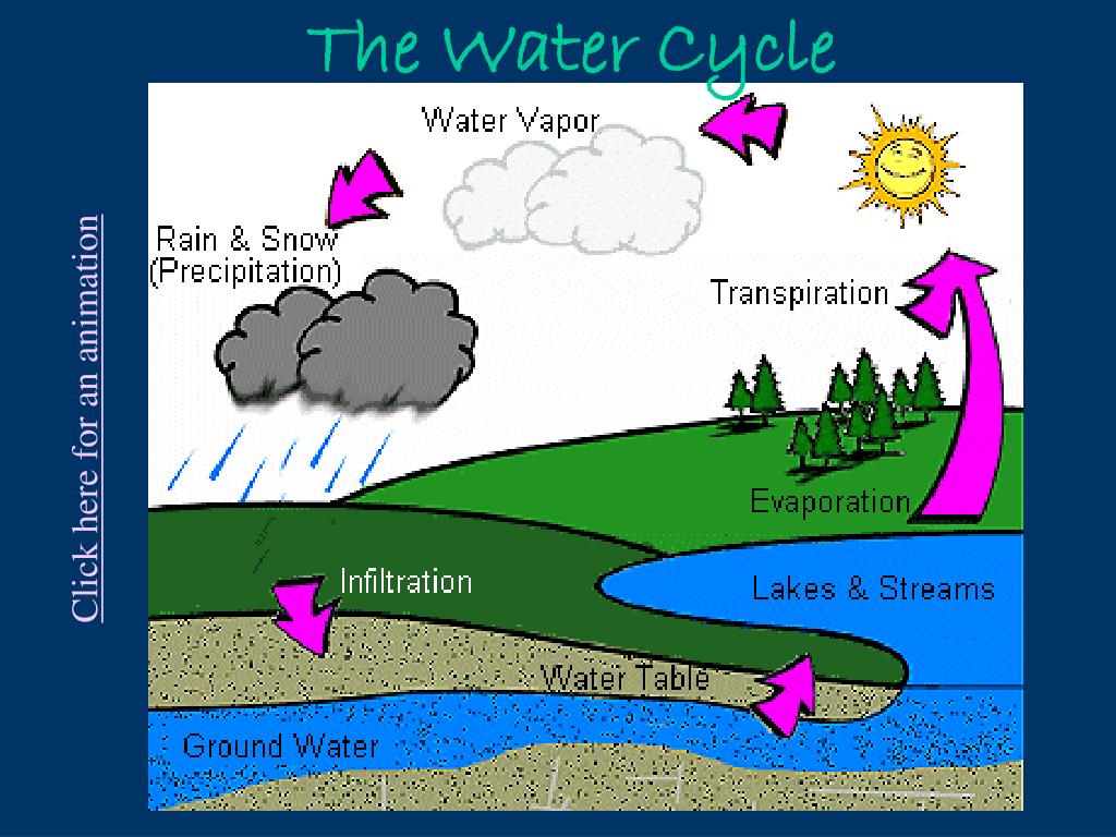 PPT - The Water Cycle PowerPoint Presentation, free download - ID:2343039